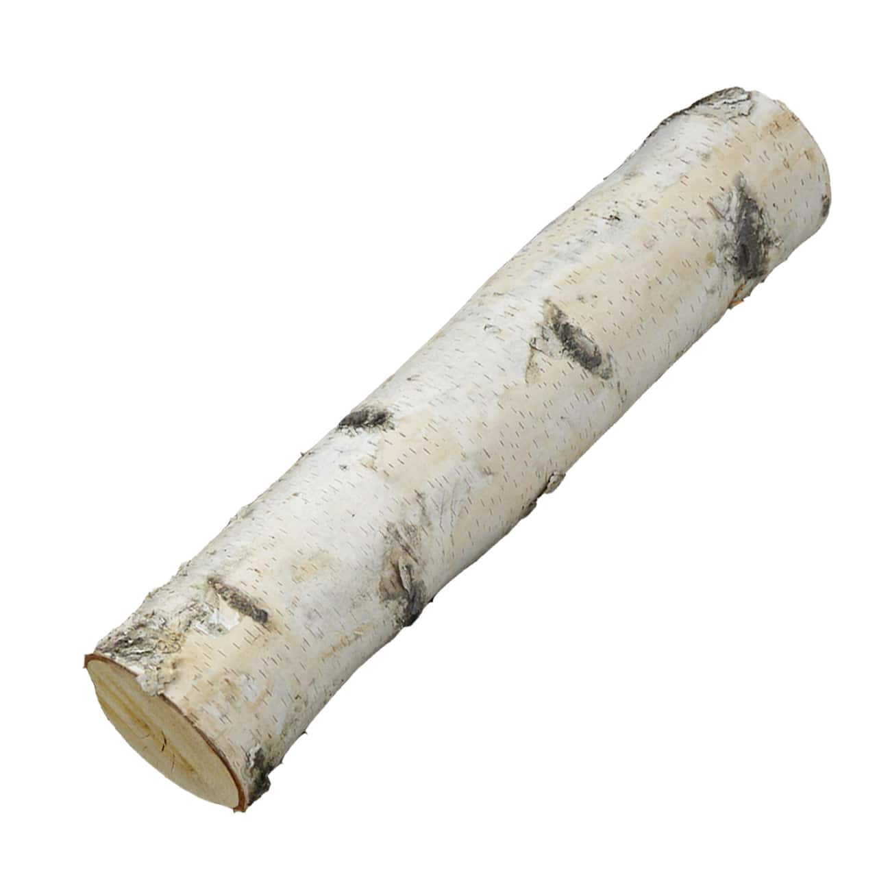 Wilson® Enterprises X-Large White Birch Log Set